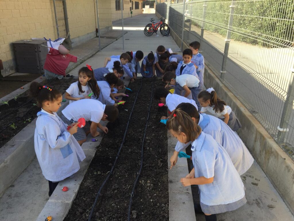 Plantando en el huerto escolar